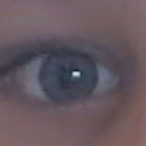 Meet your Posher, Owen